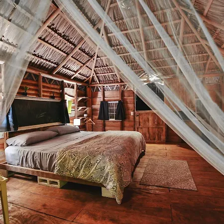 Glamping Hotel Flor y Bambu-3
