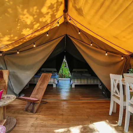 Glamping Hotel Flor y Bambu-2
